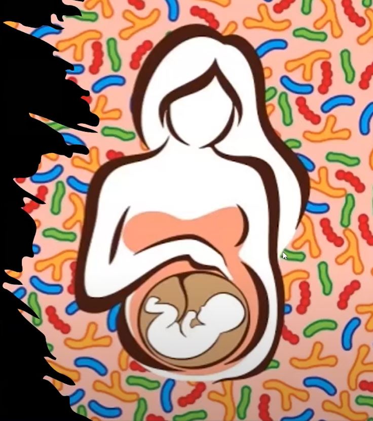 Nutrition, Microbiome, & Pregnancy (Recording) Banner
